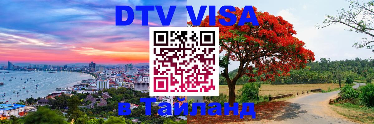 Сколько стоит DTV виза — актуальные цены, оформление даже без документов - Дакка 